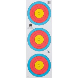 LOT DE 100 FITA TRI SPOT...