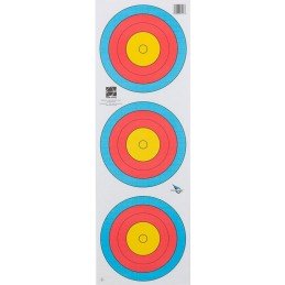 AVALON LOT DE 100 FITA TRI...