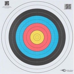 LOT DE 100 FITA 80 AVALON