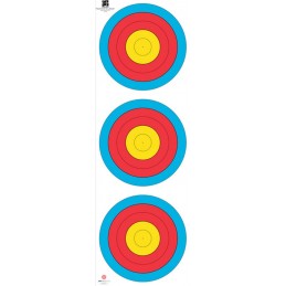 LOT DE 250 FITA TRI SPOT...