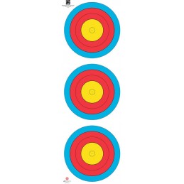 LOT DE 250 FITA TRI SPOT...