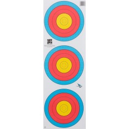 LOT DE 100 FITA TRI SPOT...