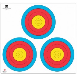 LOT DE 250 FITA TRI SPOT...