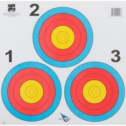 AVALON LOT DE 100 FITA TRI...