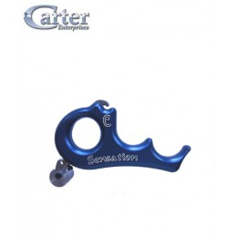 CARTER SENSATION