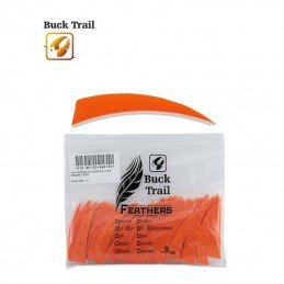 HERACLES ARCHERIE BORDEAUX FRANCE BUCK TRAIL PLUMES NATURELLES SHIELD 3 POUCES ORANGE