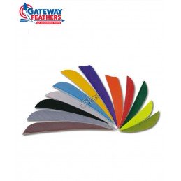 GATEWAY PARABOLIQUE 4 POUCES