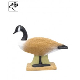 SRT CANADIAN GOOSE