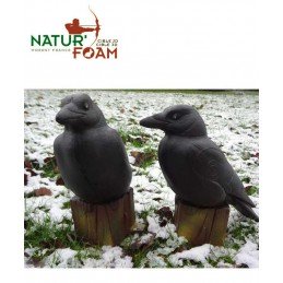 NATUR FOAM CORBEAU