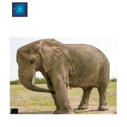 ACTILIA BLASON ELEPHANT 2