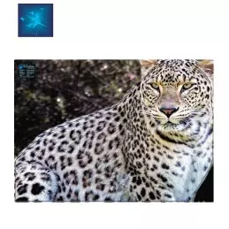 ACTILIA BLASON LEOPARD DE...