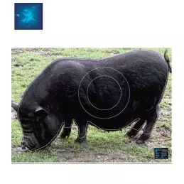 ACTILIA BLASON COCHON NOIR