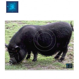 ACTILIA BLASON COCHON NOIR