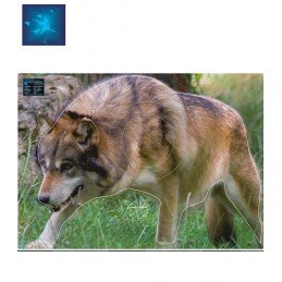 ACTILIA BLASON LOUP ROUGE 2