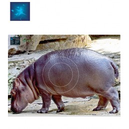 ACTILIA BLASON HIPPOPOTAME