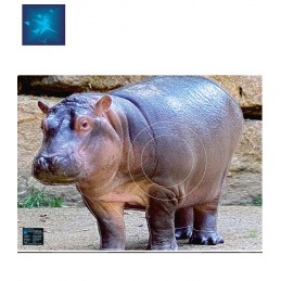 ACTILIA BLASON HIPPOPOTAME 2