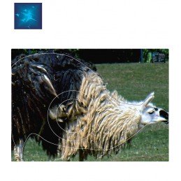 ACTILIA BLASON LAMA