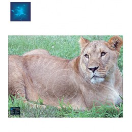 ACTILIA BLASON LIONNE