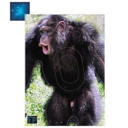 ACTILIA BLASON CHIMPANZE