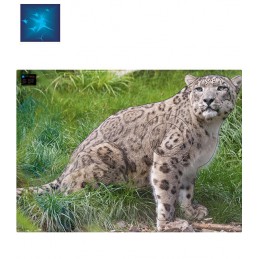ACTILIA BLASON PANTHERE DES NEIGES