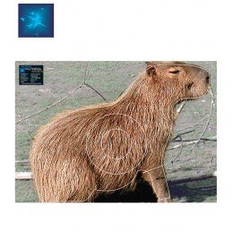 ACTILIA BLASON CAPYBARA