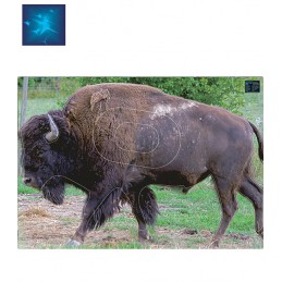 ACTILIA BLASON BISON 2