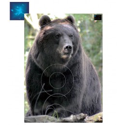 ACTILIA BLASON GRIZZLY 2