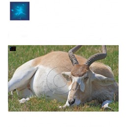 ACTILIA BLASON ADDAX