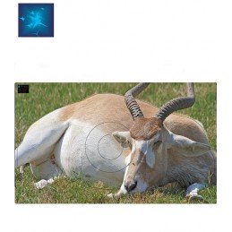 ACTILIA BLASON ADDAX