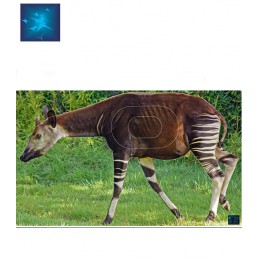 ACTILIA BLASON OKAPI 1