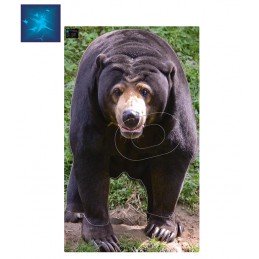 ACTILIA BLASON OURS MALAIS 4