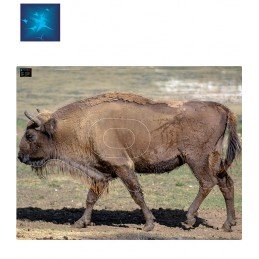 ACTILIA BLASON BISON D'EUROPE