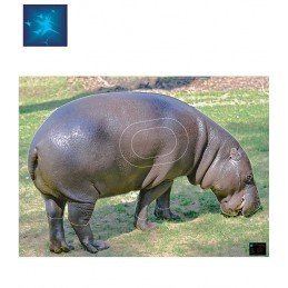 ACTILIA BLASON HIPPOPOTAME...