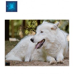 ACTILIA BLASON LOUP ARCTIQUE 4