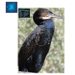 ACTILIA BLASON GRAND CORMORAN