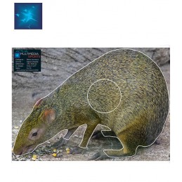 ACTILIA BLASON AGOUTI