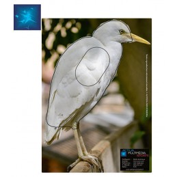 ACTILIA BLASON HERON...