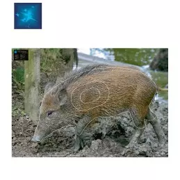 ACTILIA BLASON SANGLIER 13