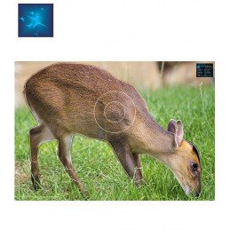 ACTILIA BLASON CERF PUDU