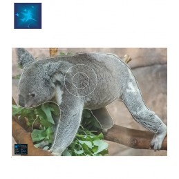 ACTILIA BLASON KOALA 2