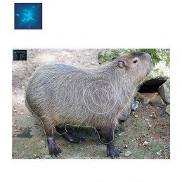 ACTILIA BLASON CAPYBARA 5