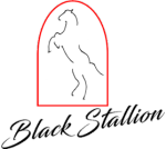 HERACLES ARCHERIE EN LIGNE LANDES AQUITAINE GIRONDE CLERMONT MATERIELS TIR A L'ARC ARC LONGBOW BLACK STALLION SYMPHONY LONGBOW