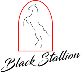 HERACLES LA BREDE BORDEAUX FRANCE ARCHERIE EN LIGNE POIGNEE ILF BLACK STALLION SPIRIT 17 POUCES