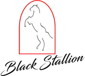 BLACK STALLION.png