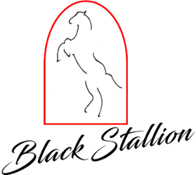 BLACK STALLION.png